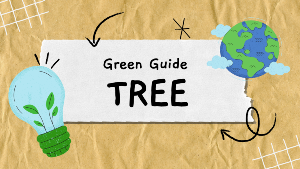 Green Guide : Tree “ต้นไม้เพิ่มพลังงานบวกในออฟฟิศ”