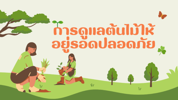 การดูแลต้นไม้ให้อยู่รอดปลอดภัย