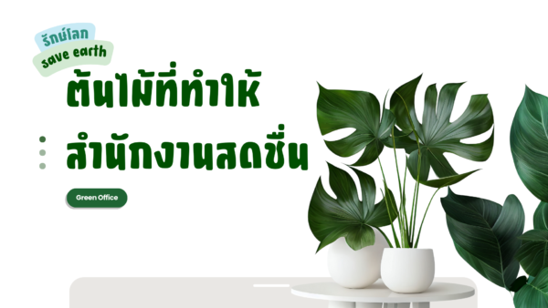 ต้นไม้ทำให้สํานักงานสดชื่น(รักษ์โลก)