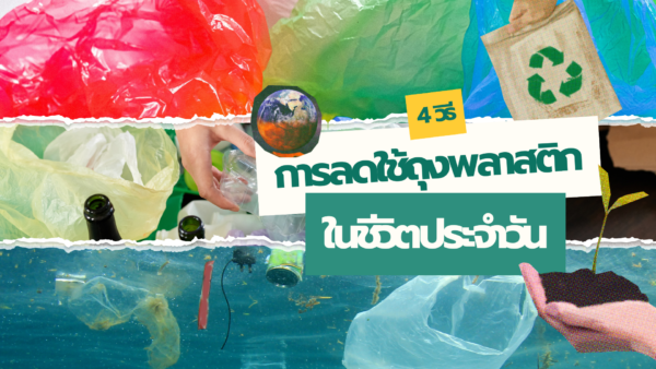 4 วิธีลดการใช้ถุงพลาสติกในชีวิตประจำวัน